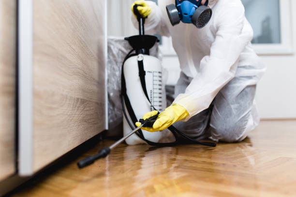 Best Mosquito Control Services  in Dunnellon, FL