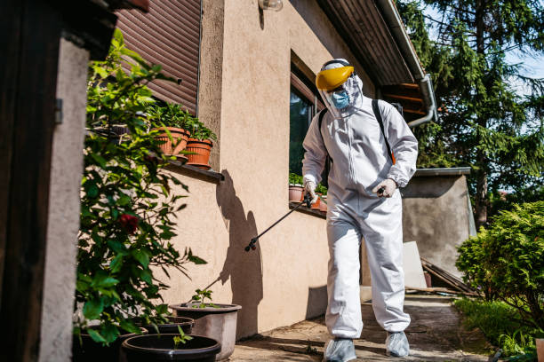 Best Pest Control Near Me  in Dunnellon, FL