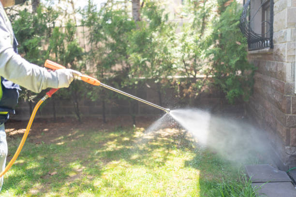 Reliable Dunnellon, FL Pest Control Solutions