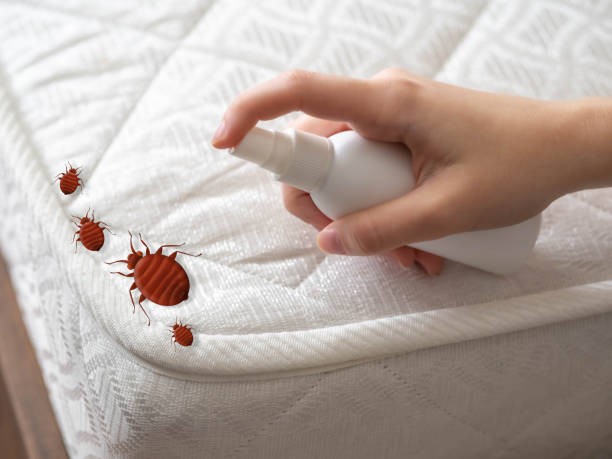 Best Pest Inspection Near Me  in Dunnellon, FL