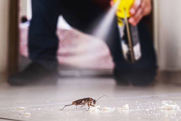 Best Pest Prevention Services  in Dunnellon, FL