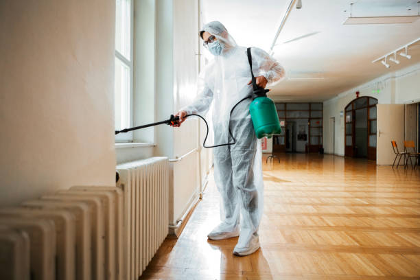 Wasp Removal Services in Dunnellon, FL