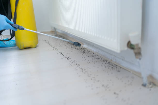 Best Best Pest Control Companies  in Dunnellon, FL