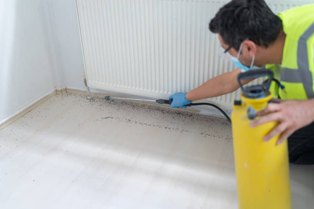 Best Ant Control Services  in Dunnellon, FL